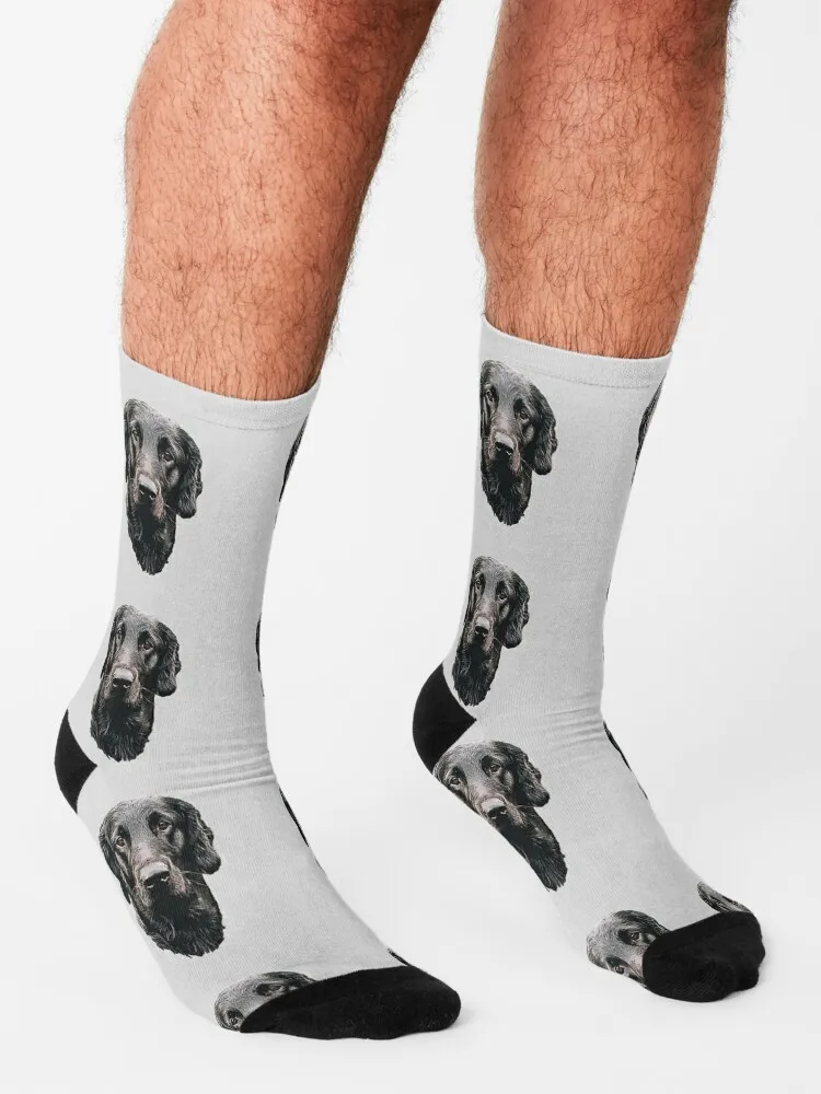 Flat Coated Retriever - Stunning Dog! Socks hiphop Running socks Cartoon characters socks japanese fashion Socks Man Women's