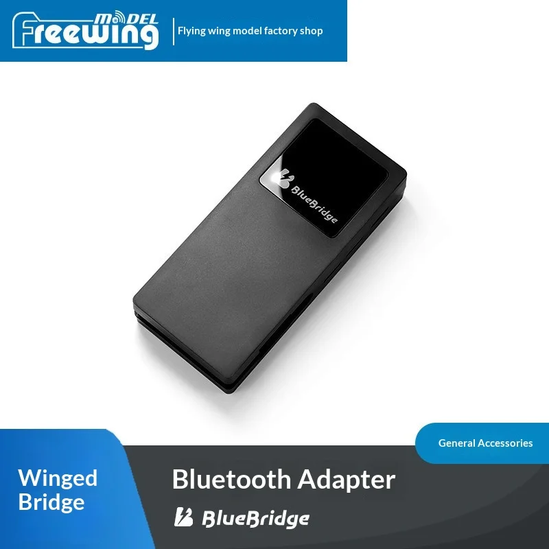 BlueBridge Lite Récepteur RC 2.4GHz pour Modélisme