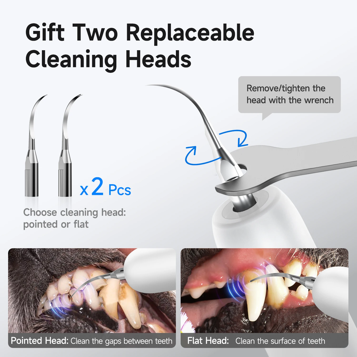 CURVY MOON T5 Pet Teeth Ultrasonic Dental Tartar Cleaning Kit Dog Cat Ultrasonic Canine Plaque Remover Teeth Sonic Cleaner