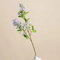Color 4