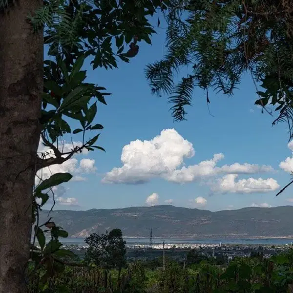 Shop1100207019 Store