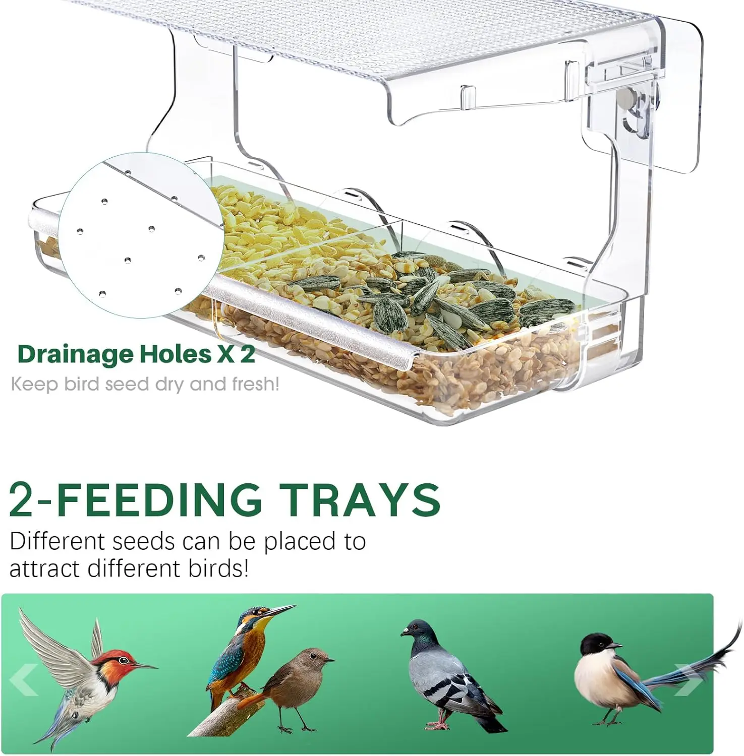 Window Bird Feeder for Outdoors, Transparent Bird House Outside Wild Watching for Garden, Yard, Elderly Kids Viewing