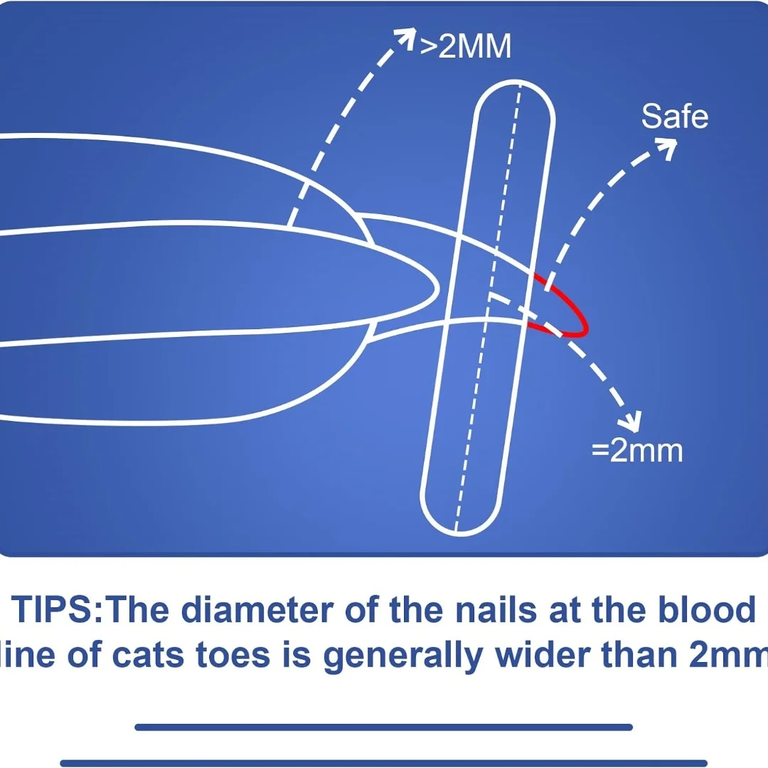 Cat Nail Clippers Circular Cut Hole Avoid Over Cutting Pet Nail Scissors Sharp Angled Blade Professional Paw Trimmer Set
