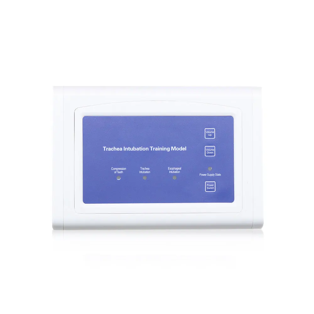 Electronic Human Tracheal Training Model Intubation Training Manikin with Tooth Pressure Alarm
