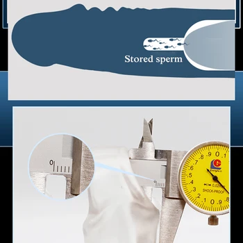 Penis Extend Sleeve Realistic Dildo Condoms Penis Extender 4/7/10CM Delay Ejaculation Male Dick Enlargement Sex Toys For Men 6