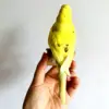 Taxidermy stuffing Eurasian yellow colour Melopsittacus undulatus / Budgerigar Budgie Parrot specimen Teaching / Decoration & 5