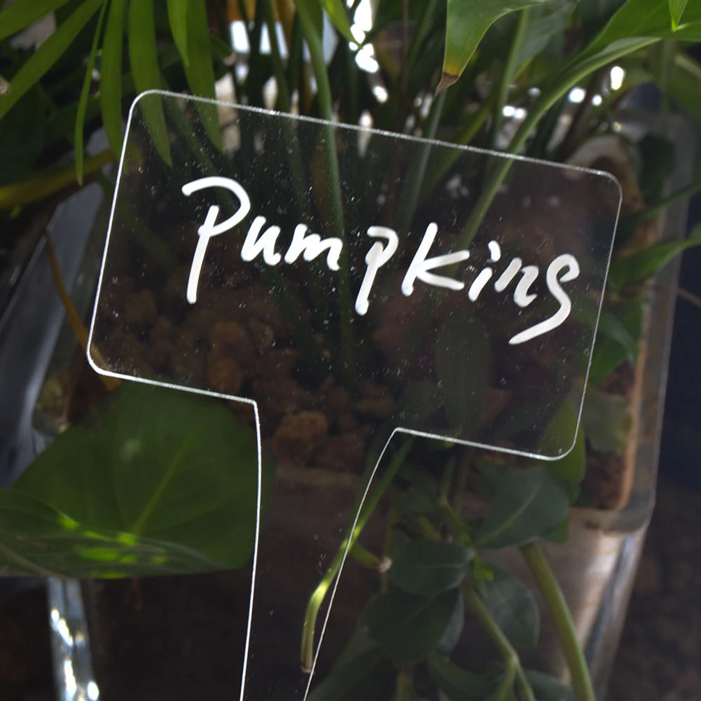 

12pcs Label Sheets Transparent Acrylic Plant Potted Label Plate For Outdoor Pots Fruit Trees Saplings Garden Decoration Sign