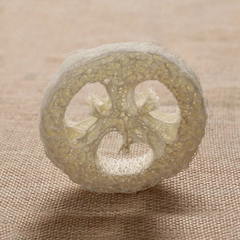 Рисунок 3 - натуральная люффа Luffa Loofa ломтики