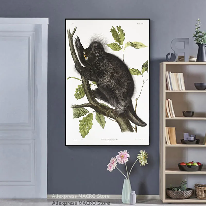 Канада поркупин нистрикс D плакат настенное искусство холст живопись роспись и