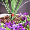 20/50 PCS Garden Micro Watering Sprinklers 360 Degrees Rotating Nozzle Mini Spraying 4/7mm Hose for Flower Garden Greenhouse 4
