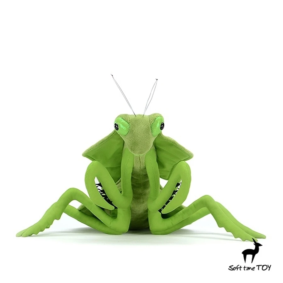 Leaf Backed Mantis High Fidelity Anime Plushie Choeradodis Plush Toys Lifelike Animals Simulation Stuffed Doll Kawai Toy For Kid 3
