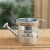 Creative Flower Vase Can Rustic Iron Metal Jug Pitcher Tin Bucket Watering Can Shape Portable Pot for Home Wedding Party Decor 4