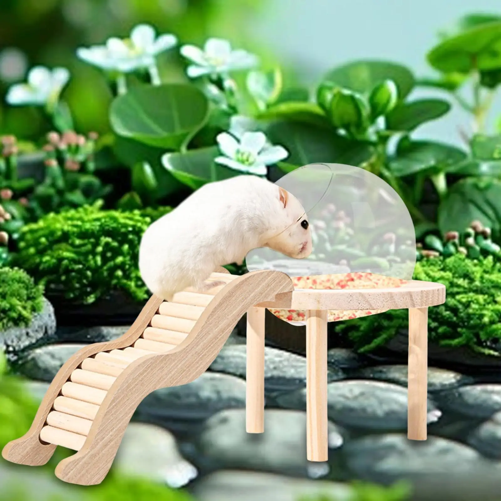 Hamster Sand Bath Container with Wooden Ladder for Pet Supplies Gerbils Mice Hamster Sand Bath Container with Wooden Ladder for Pet Supplies Gerbils Mice