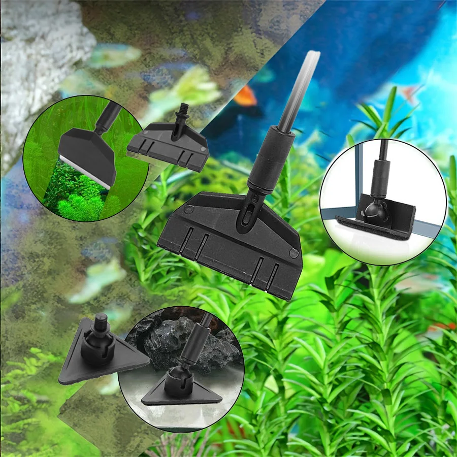 A closer look at Algae Removal Tools For Saltwater Tanks