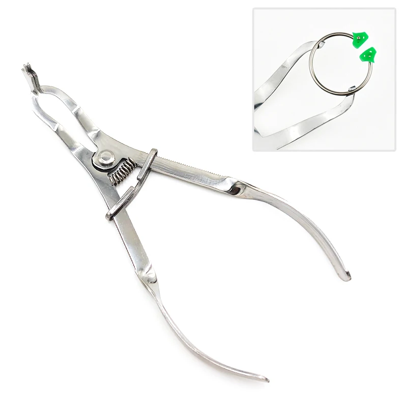 Dental Matrix Band Forming Clip Pinzette Schnittkonturierte Matrizenzange aus Edelstahl Kieferorthopädisches Instrument
