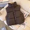 Petite Autumn Winter Down Cotton-Padded Vest Women's 2024 New Style Plus Size Cotton Clip PU Jacket Trendy Wash-Free