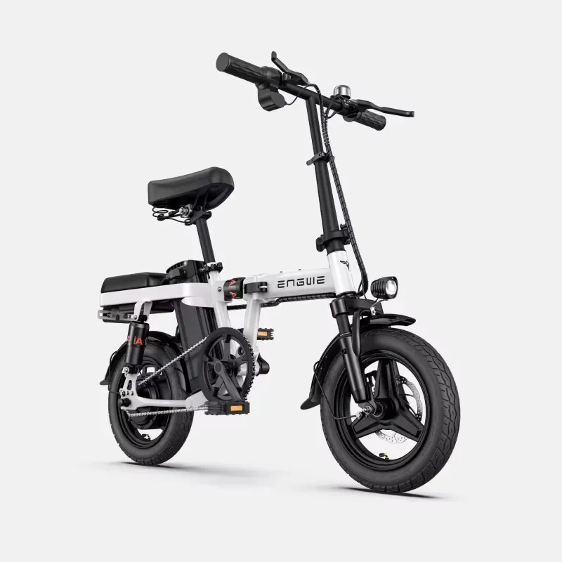 Electric Bike 250W Motor 48V10AH Removable Battery Folding Fast