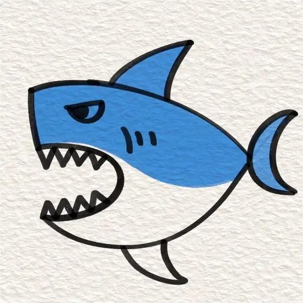 Big Shark Store