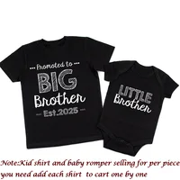 Promoted To Big Brother Est. 2025 Matching Brother Shirts Baby Announcement New Big Bro Gift Matching Sibling Shirts Clothes 2