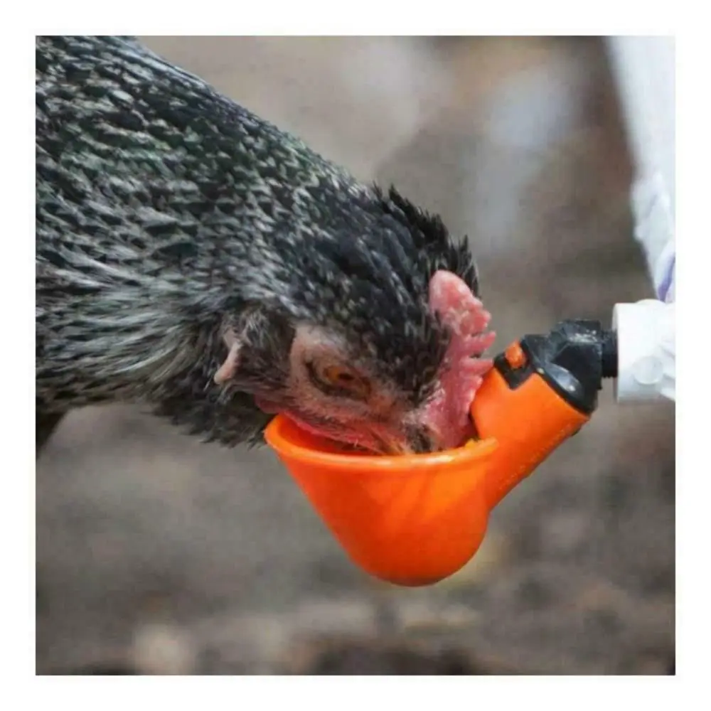 ݷ  ô ,  ż öƽ ڵ    ׸, 10/20 