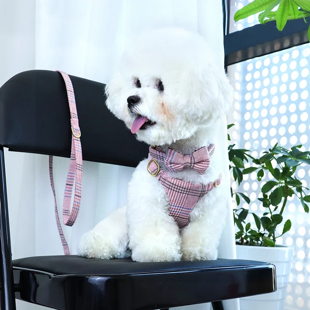 Nylon Dog Collar Harness Leash Set Adjustable Puppy Dogs Harnesses Vest Cute Bowknot Pet Collars With Lead for Small Medium Dogs 5
