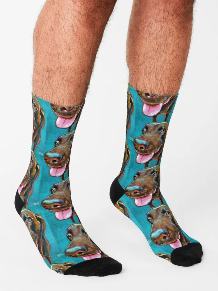Chocolate Labrador on Blue by Robert Phelps Socks Man socks valentine gift ideas