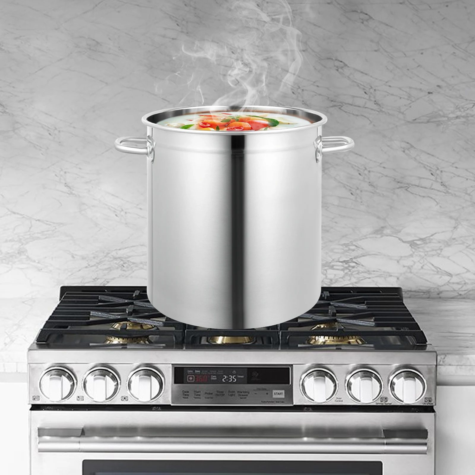 Stainless Steel Stockpot