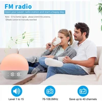 Wake Up Light Alarm Clock Sunrise/Sunset Simulation FM Radio Color Night Light White Noise Machine Bedside Clock for Home Decor 3