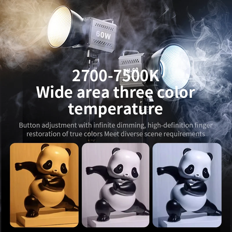 Dual Color Temperature COB Photography Light 60W Professional