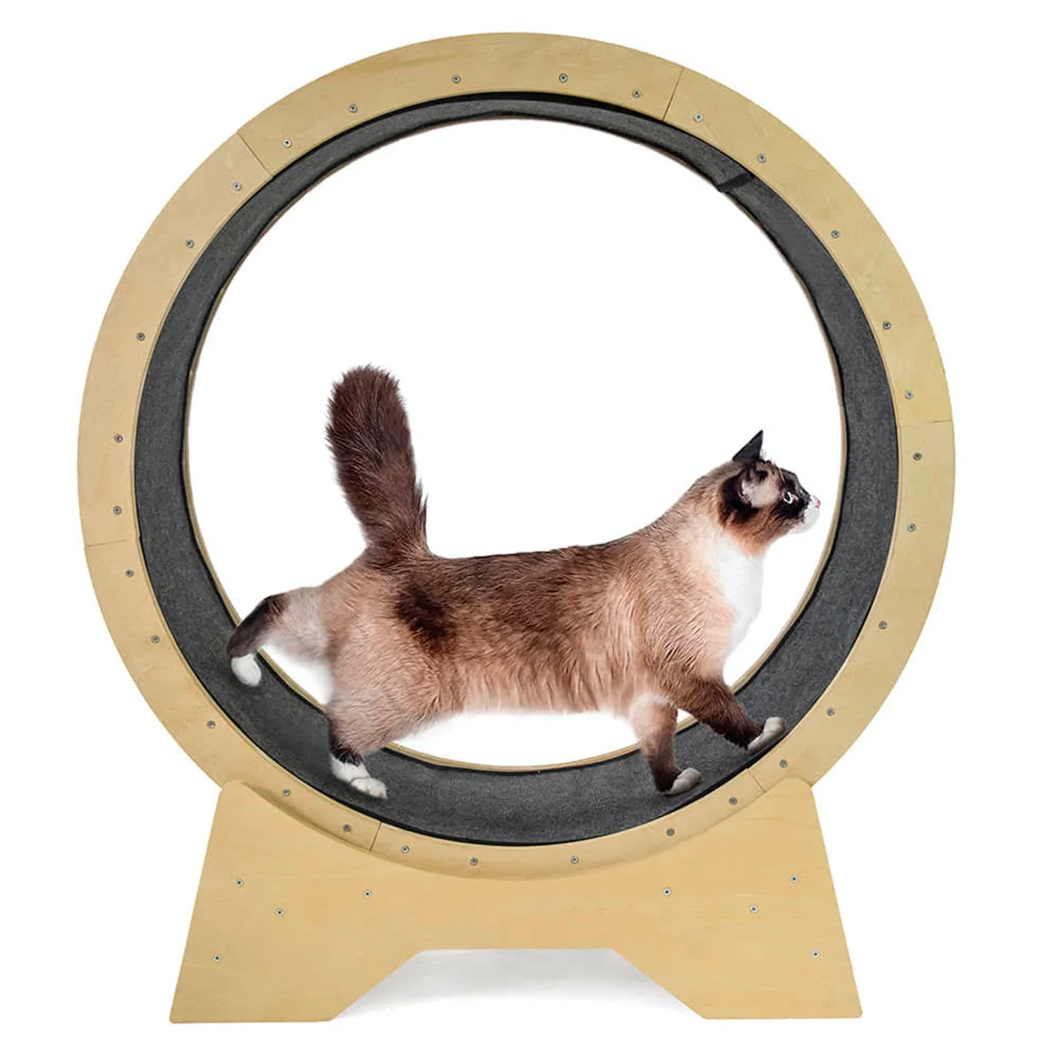 Cat Toys Circle Track For Household Interactive Pet Tread Exercise Running Wheel Cat Climbing Frame Fiberboard Treadmill
