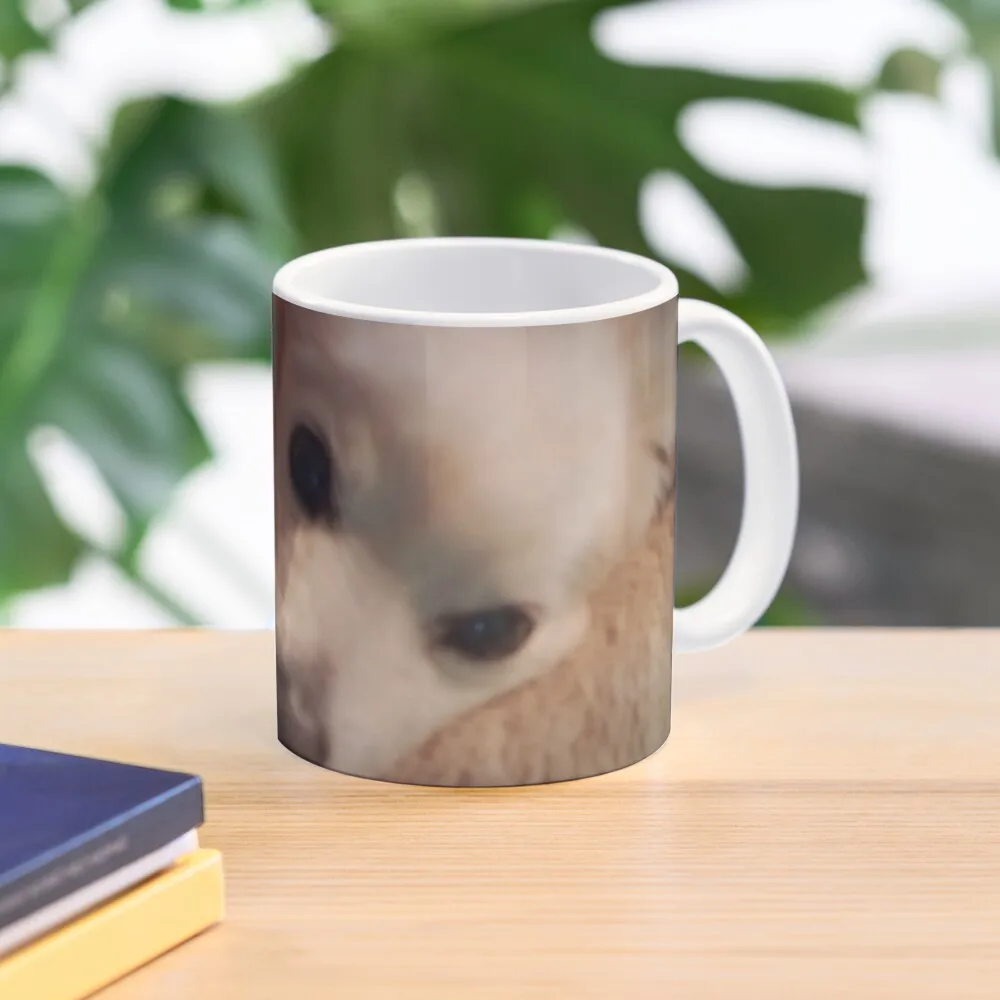

Lovely resting dog Coffee Mug Coffee Glass Coffee Glasses Funny Mugs