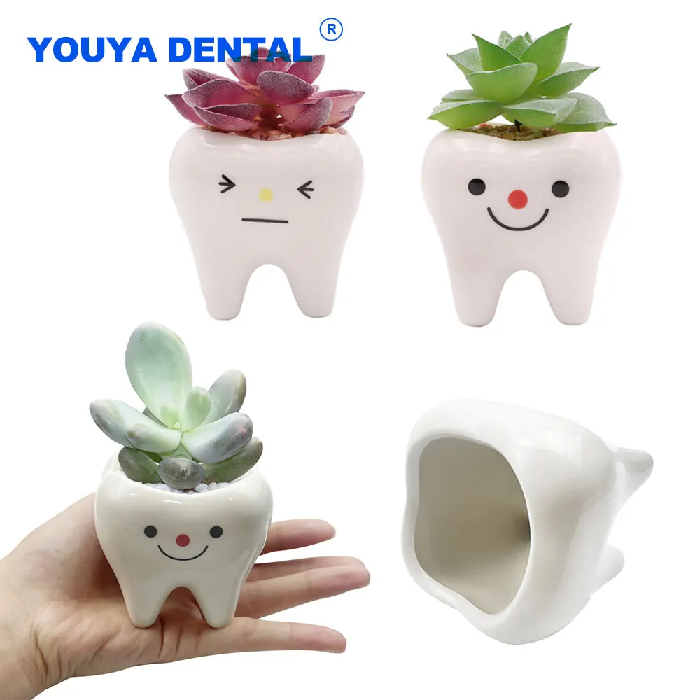 Tooth Shape Ceramic Vase Creativity Dental Flower Plant Desktop Potted