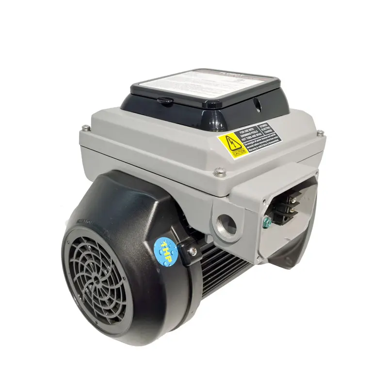 

20 Year Factory VSM-SQ Series Manufacture on Motors and Drivers Square Flanges Based Motor for Pool Pump