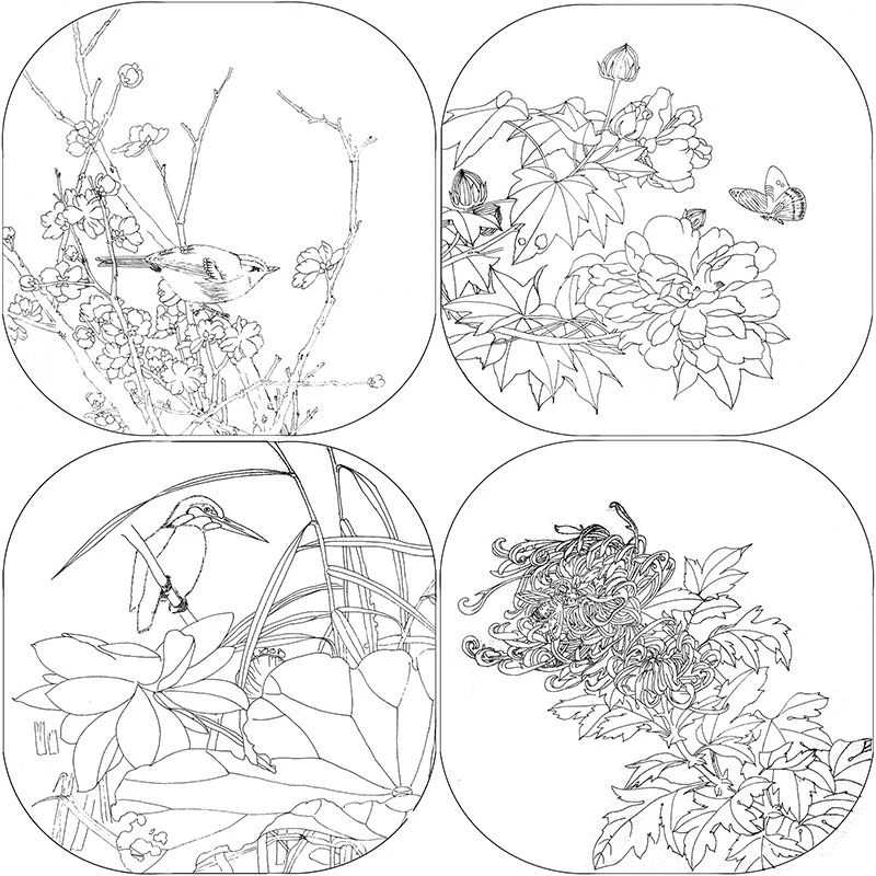 HD Meticolosa linea di pittura disegno manoscritto pittura cinese fiore uccello pratica immagine linea disegno carta da colorare immagine - immagine 2
