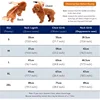 Dog Warm Coat All Season Pet Night Reflection Raincoat Small And Medium-sized Dog Clothes Windproof Vest PP Cotton Dog Clothing 4