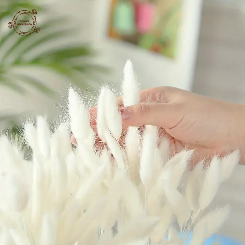 60 Fiori Secchi Lagurus – Code Di Coniglio Naturali, Blu Turchese, 60 Cm, Per Decorazioni Matrimonio E Fai-da-te