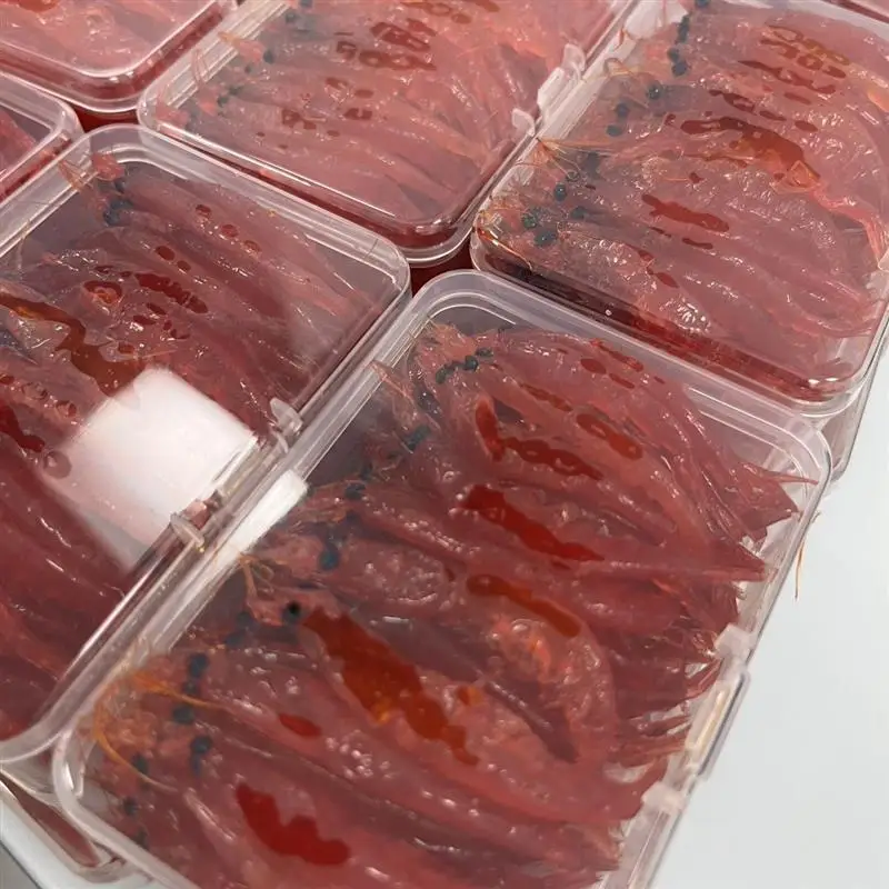 스럽게 준비된 남극 크릴 낚시 미끼 바다 낚시 루어 래프트 낚시 장비 꿀즙이 많은 새우 미끼 겨울 낚시