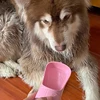 Portable Dog Water Bottle With Food Container Travel 2 in 1 Pet Water Dispenser For Small Large Dogs Cat Labrodor Drinking Bowls 6