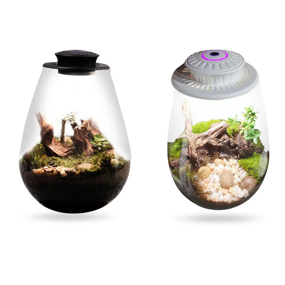 F2 Miniature Gardening Glass Plant Terrarium with Grow Light Succulent Moss Landscape Glass Terrarium Plant Lovers Gift