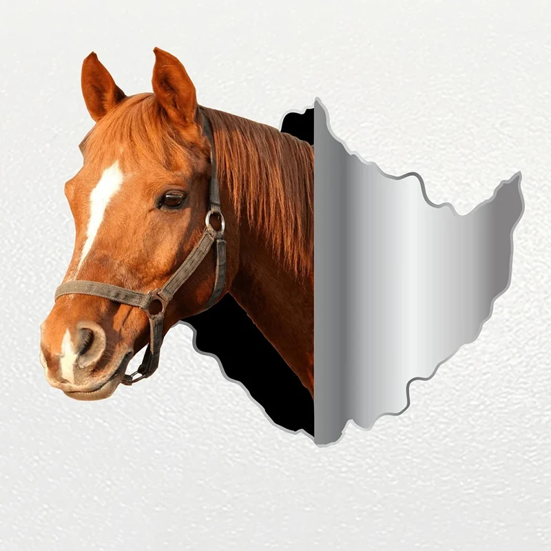 

V1093# Car Sticker Horse Animal Waterproof Vinyl Decal Car Accessories Decor Pegatinas Para Coche