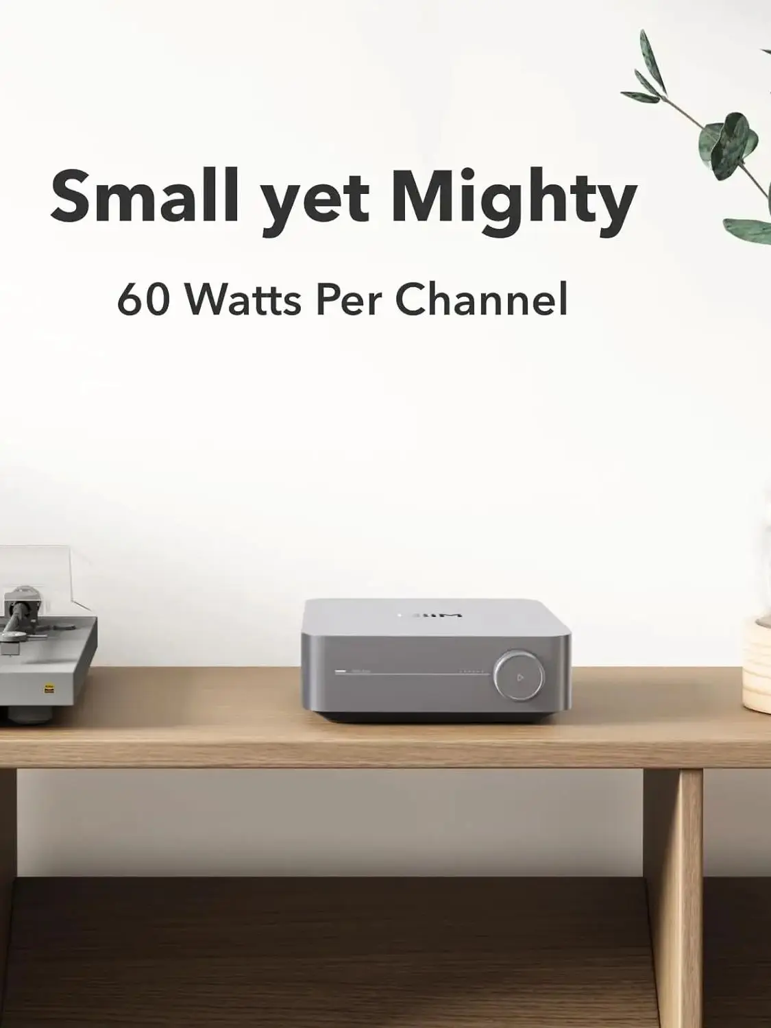 値下 美品 WiiM Amp / AirPlay2 Chromecast Amazon.co.jp: 【直輸入品】WiiM Amp：AirPlay 2、Chromecast