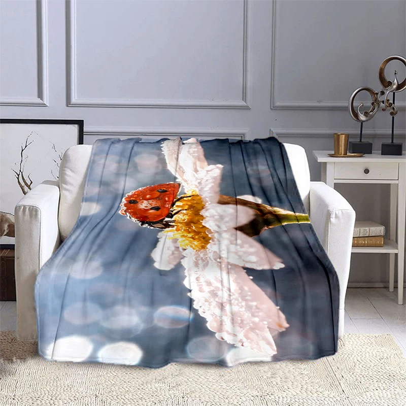 ��� ���� ���� ���, �ö��� ���, �ε巴�� ������, ����, ����, ���� ����Ƽ