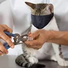 Cat Anti-bite Muzzles Breathable Nylon Protective Hood Cat Grooming Restraint Bags For Prevent Cats From Biting Nail Trimming 3