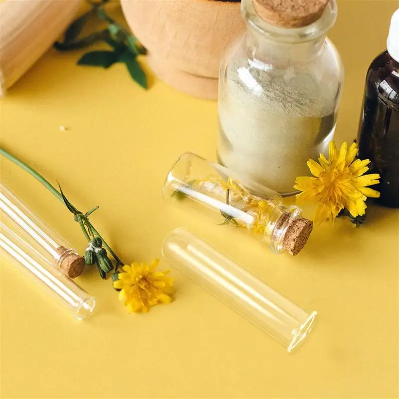 5pcs Glass Test Tube Propagation Stations Glass Propagation Hydroponics Vase Plant Terrarium Bottles Container Flower Holder 5