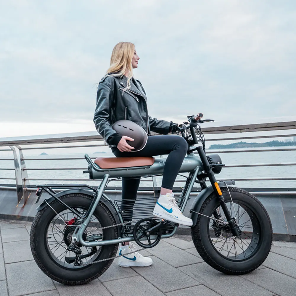 Coswheel Electric Bike For Adult CT20 2000W 48V 25AH Max