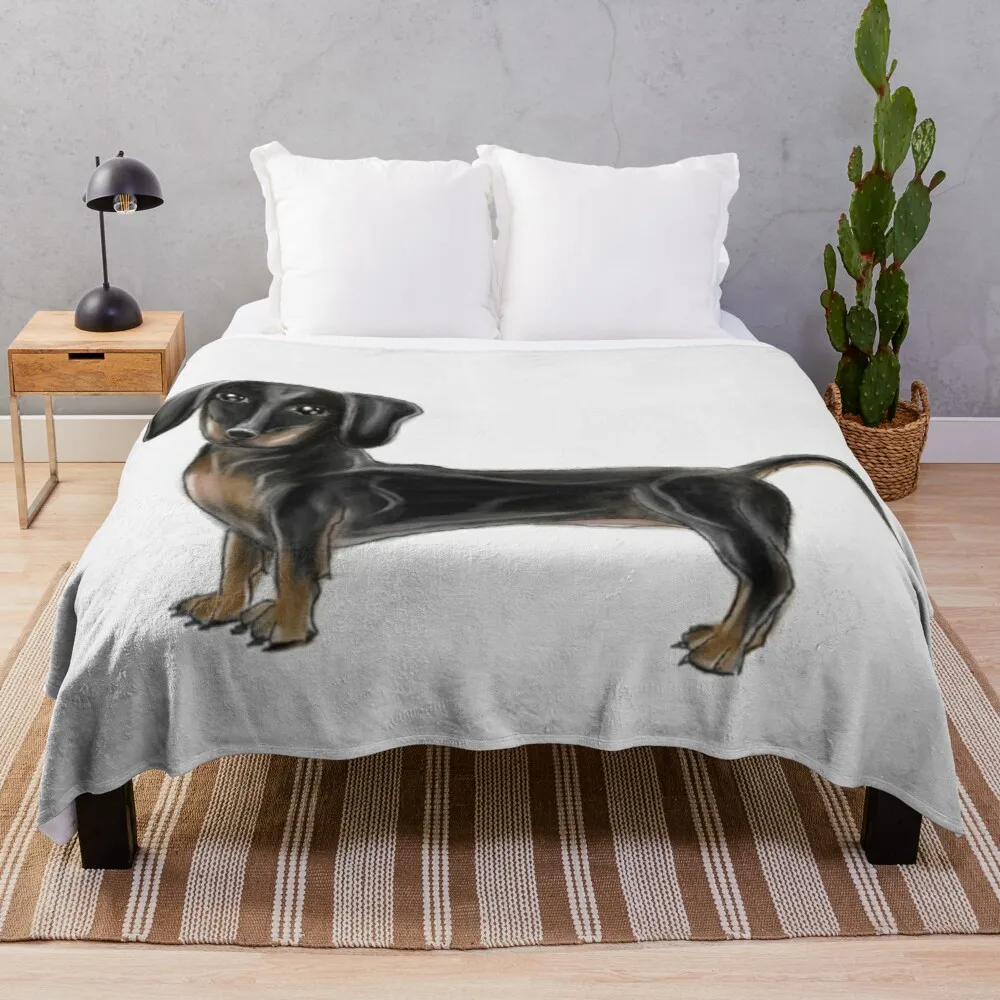 Ŀ�� ��� ���� ������ ��� �ڶ� �� ���� ��� �ð� ���n��� ħ�� ��� ���� ���� �ڽ� ��Ʈ �Ϳ��� corgi