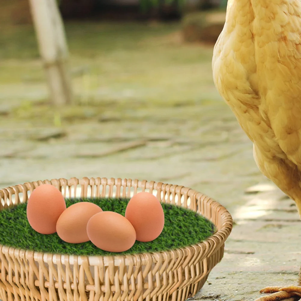   ùķ̼ ܵ Ʈ, Coop ΰ ֿ   ¥ е,  ī, ǿ ùķ̼ , 10 