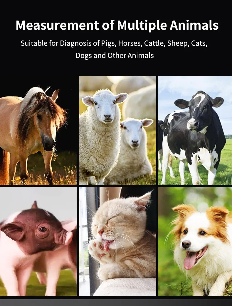 Portable Veterinary Ultrasound Scanner For Dog Cat Cattle Cow Pig Horse Ultrasou