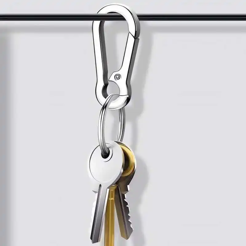 Carabiner Clip Keychain 4Pcs for Car Keys