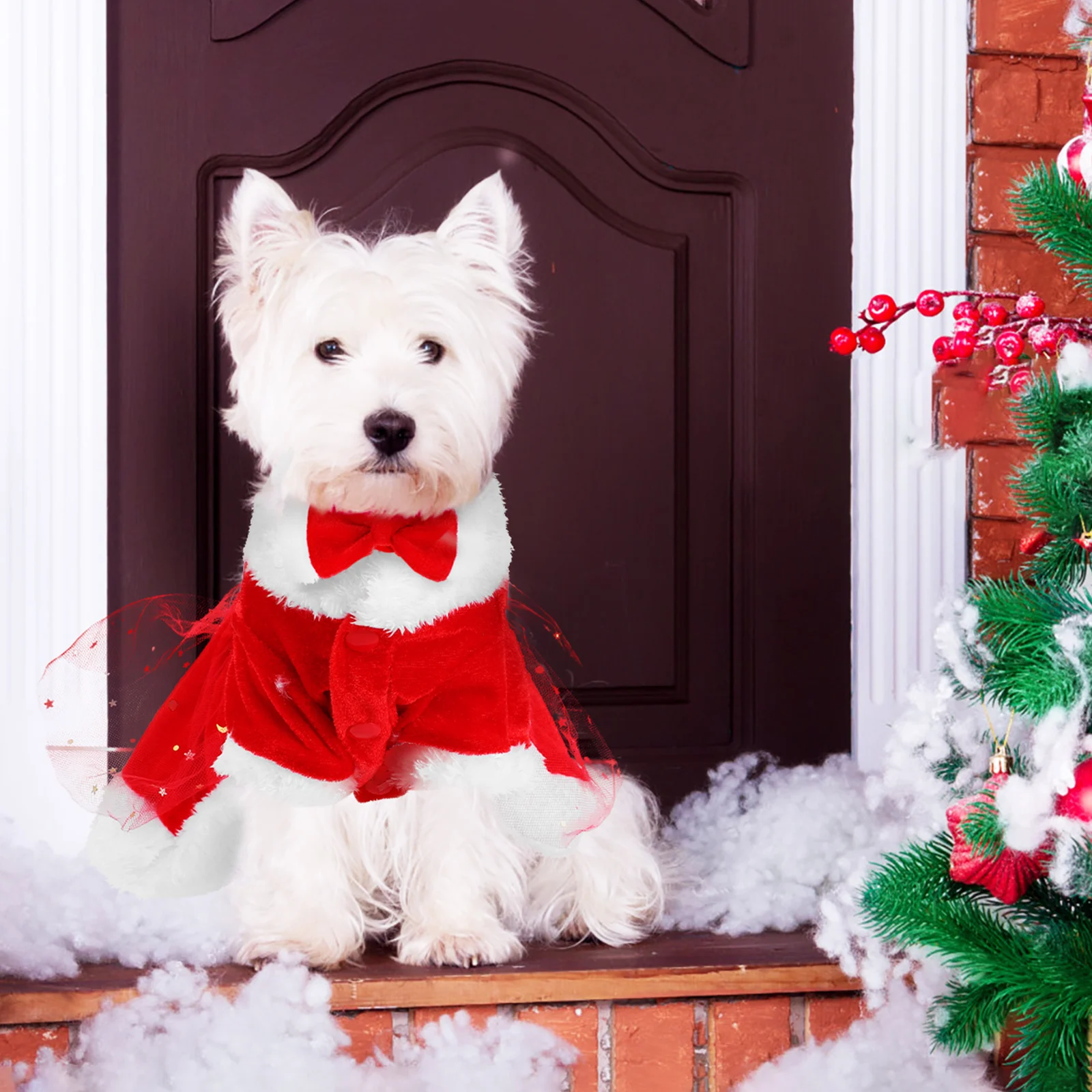 1 Set Dog Christmas Costume 5